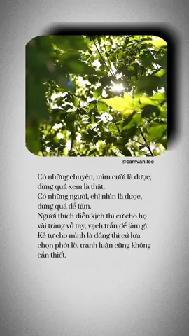 Tranh luận là điều không cần thiết #camvanlee 