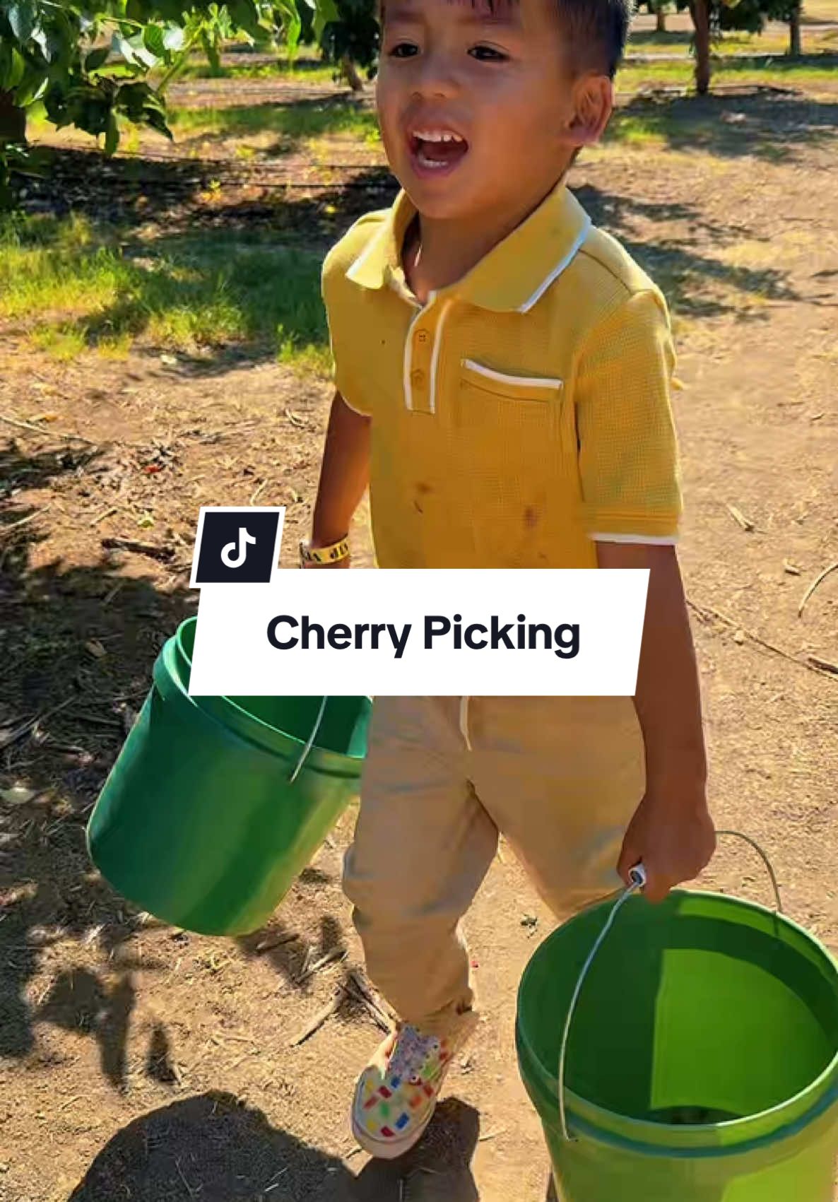 Cherry picking our way through Brentwood, CA, the U-Pick Capital of CA. Along the way we got strawberries, mulberries, peaches, tons of cherries and unforgettable memories #upickcapital #cherrypicking #bayarea #foodtiktok