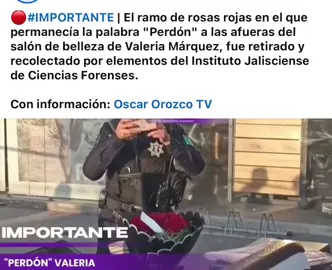 😱😱😱🕊️🕊️😔#siganme #viral #valeria 