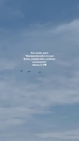 🤍 #jesuslovesyou #jesuschrist #dios #jesus #diostienelcontrol #mateo5:4 #jesus 