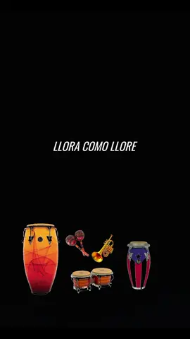 Magdalena  Orq.la Conspiración  #salsaguateque#bailasalsa #magdalena #❤️ #salsaparados #salsabaul #salsaparaestados 