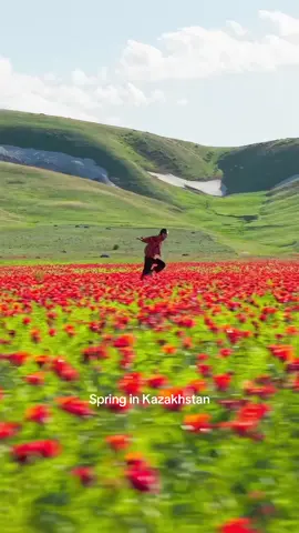 Spring in Kazakhstan