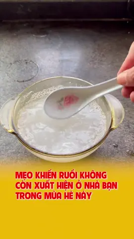 Ruồi không vào nhà vơi cách này #camnangnhaxin #meovatcuocsong #meohay #meovat #decor