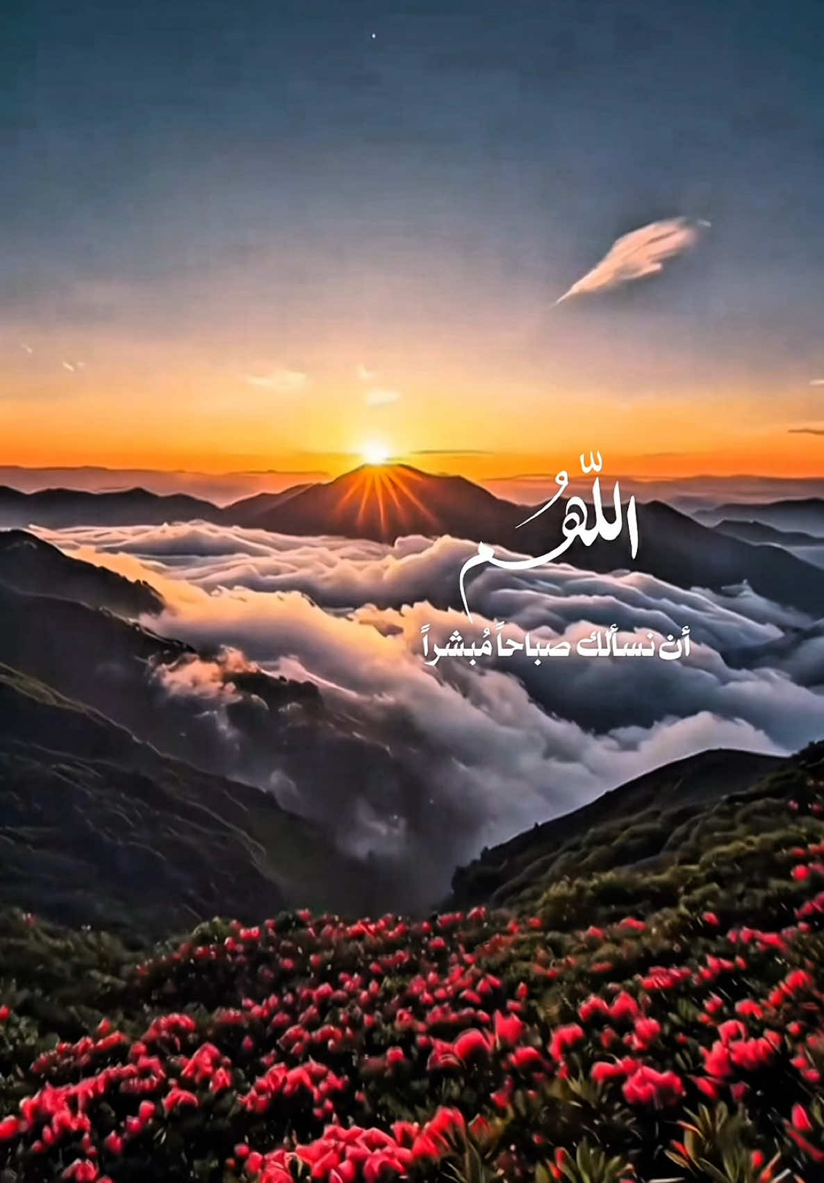 ‏🤍____🥀أذكارالفجر.🥀____🤍#اللهم #أمين #يارب