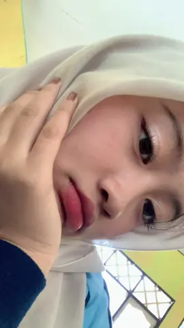 hbis mam