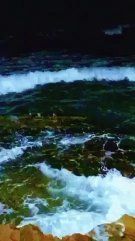 #الشاب_حسني  #البحر 