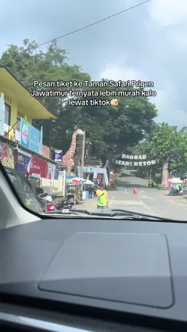 Lebih murah, banyak promo dan nggak ribet🥳 #tamansafari #tamansafariprigen #tamansafariprigenjatim #tamansafarisurabaya 