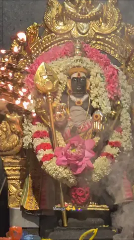 #muruganwhatsappstatus #muruganstatus #murugansongtamil #muruganthunai #muruganthunai🙏 #muruganblessing #murugan #muruganthunai🦚 #murugan #muruganthunai🦚 #muruga #murugantemple #murugansong 