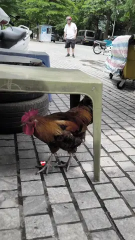 Như thế đủ rồi, đừng lại gần anh nữa cho anh bình yên nhé 