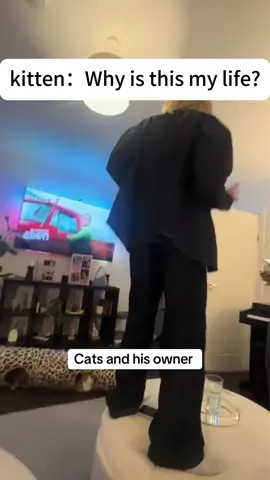 The happy life of the cats and his owner #cat #pets #owner #petslife 