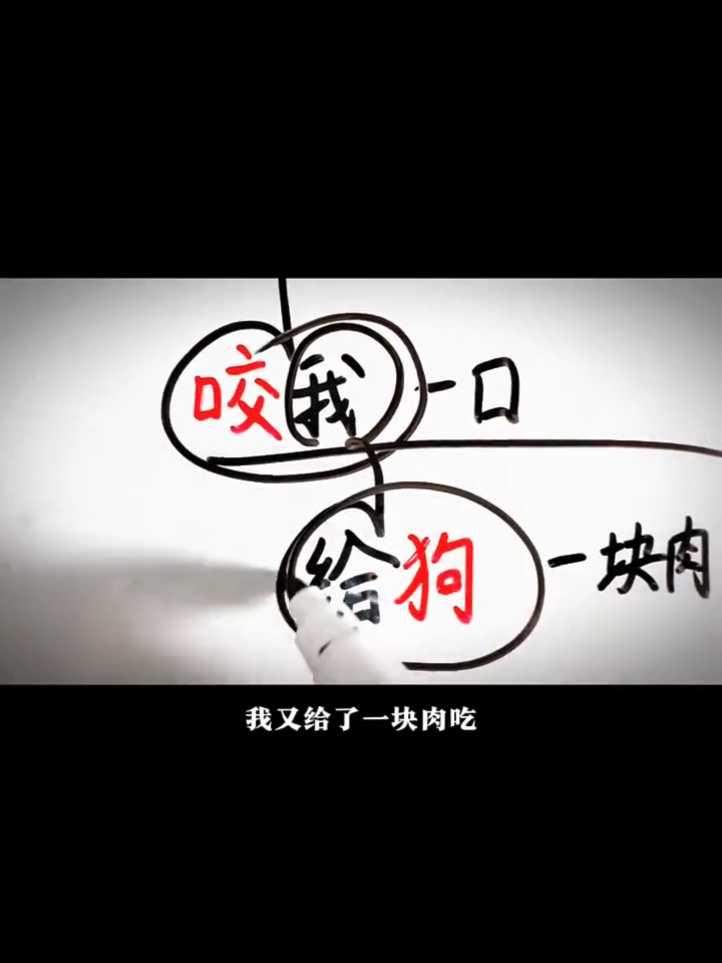 #国学易经 #易学智慧