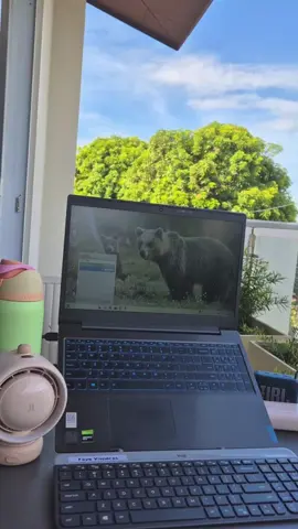 Are you making the most of your remote work setup? Keep these must have essentials close at hand to transform your workspace into a haven of convenience and productivity. #jisulife #jisulifestrollerfan #portablefan #fan #strollerfan #anker #ankerzolopowerbank #ankerzolo #Powerbank #logitech #logitechkeyboard #logitechmouse #logitechwirelesskeyboard #wirelesskeyboard #jbl #jblbluetoothspeaker #jblgo4 #wfh #workremotely #convenient #travelfriendly #comfort #fyp #foryoupage #NewAffiliate #viralvideo #tiktok #viralcontent #tiktoktips #contentcreation #engagement #hashtagstrategy #socialmediamarketing #socialmedia #tiktokstrategy 