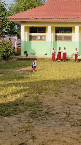 #fyppppppppppppppppppppppp #upacarabendera