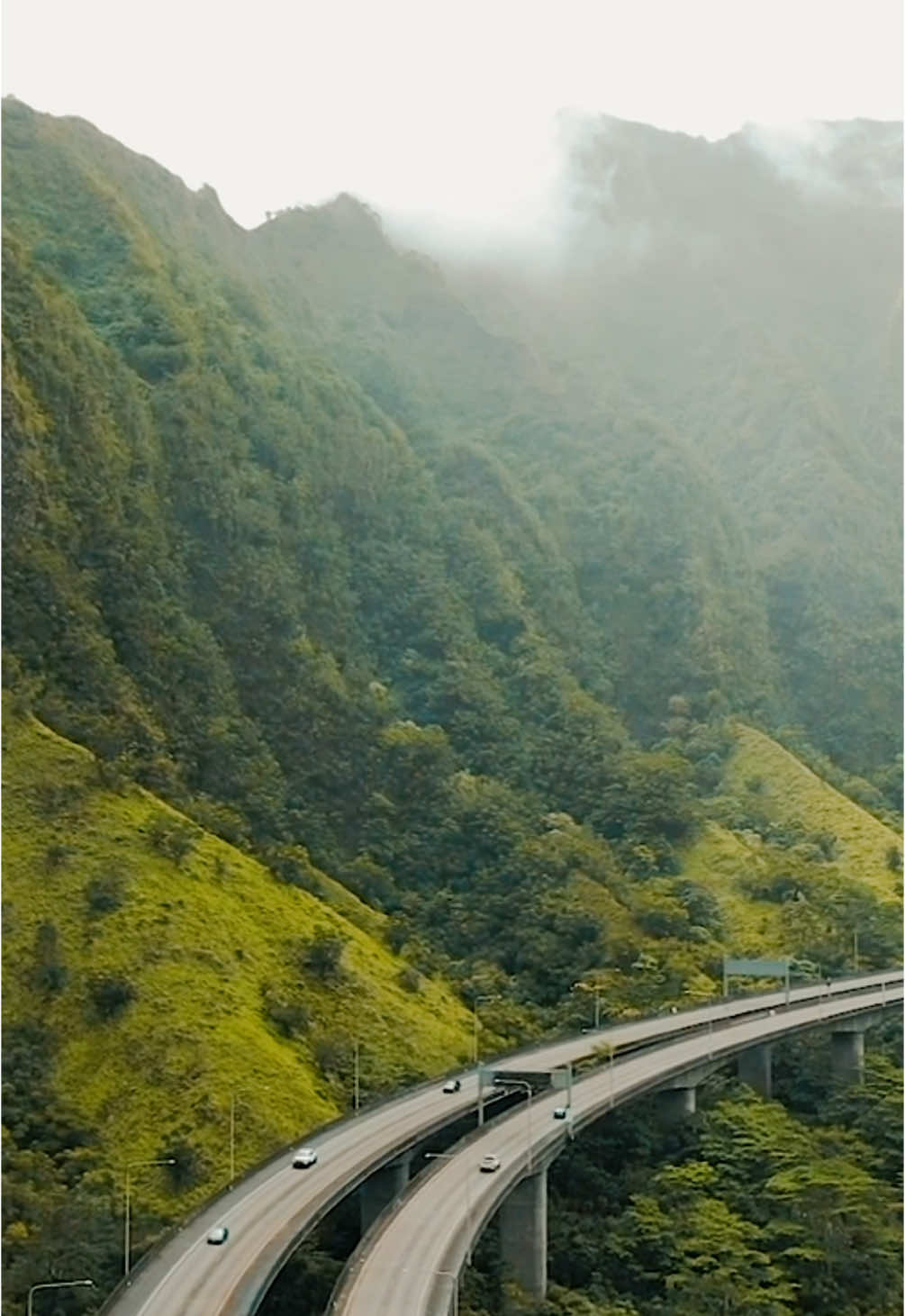 End of the Line - Traveling Wilburys #lyrics #lyricvideo #fyp #endoftheline #travelingwilburys #itsalright #youcandothis #deeplyrics #soulmusic #soultunes 