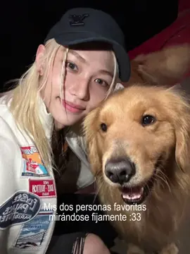 #FELIX || Es tan hermoso lo amo demasiado ☹️🩷 Es un trend obvio también amo a mi lili 💘 #mividaentera #CapCut #felixstraykids #felixmisolecito #tiktok #noflop #tiktokponemeenparati #paratii #fpyシ #tiktokviral #ponmeenparatitiktok #felix #amorpuro #felixnista  💡 :: @@𝗛𝗮𝗻 