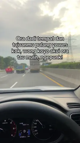 inpo ngepunk?