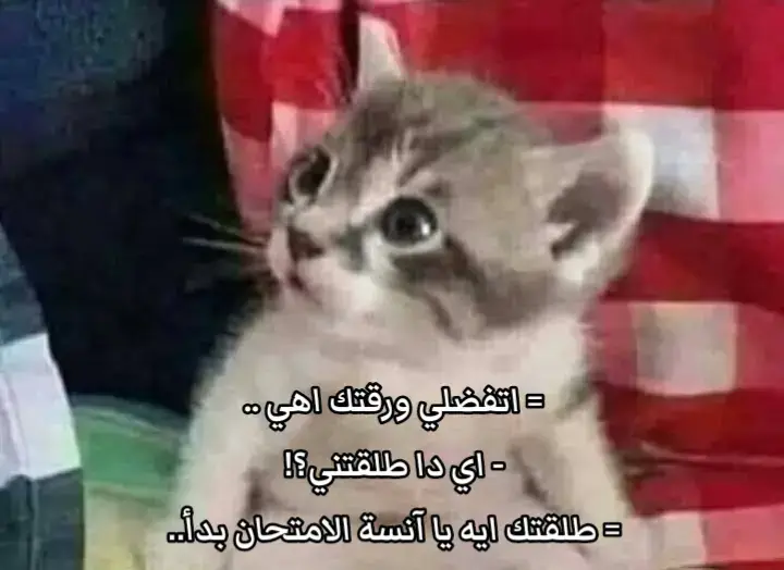 #🫡🤦🏼‍♀️