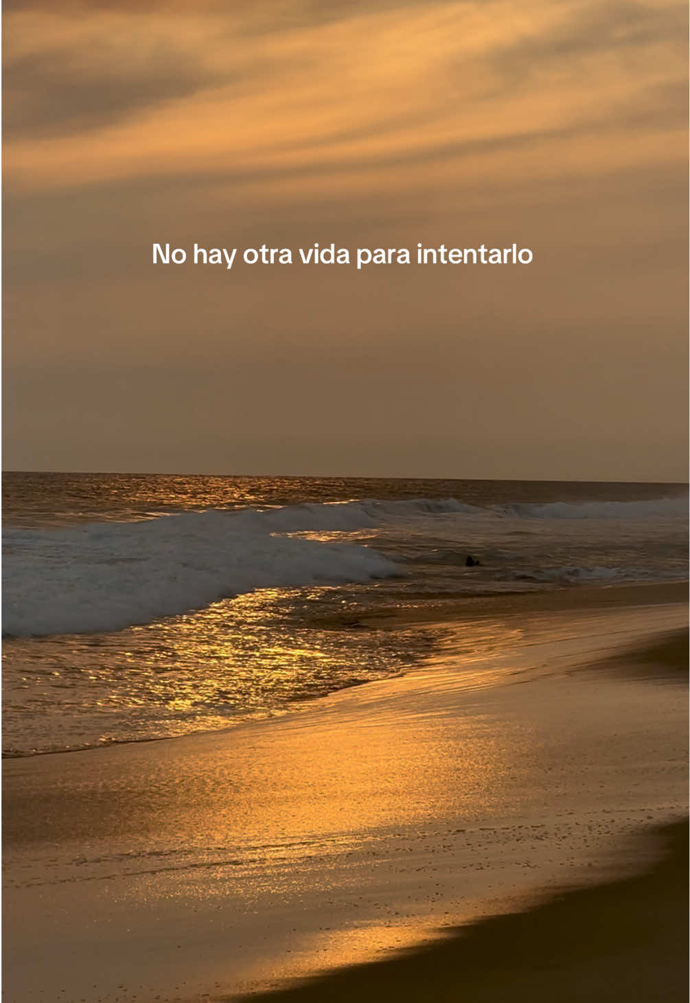 Nada es para llevar, todo es para vivir aquí. ✨  #foryou #parati #fyp #viral #foryoupage #contenido #frases #quotes #godisgood #goodvibes #goodlife 
