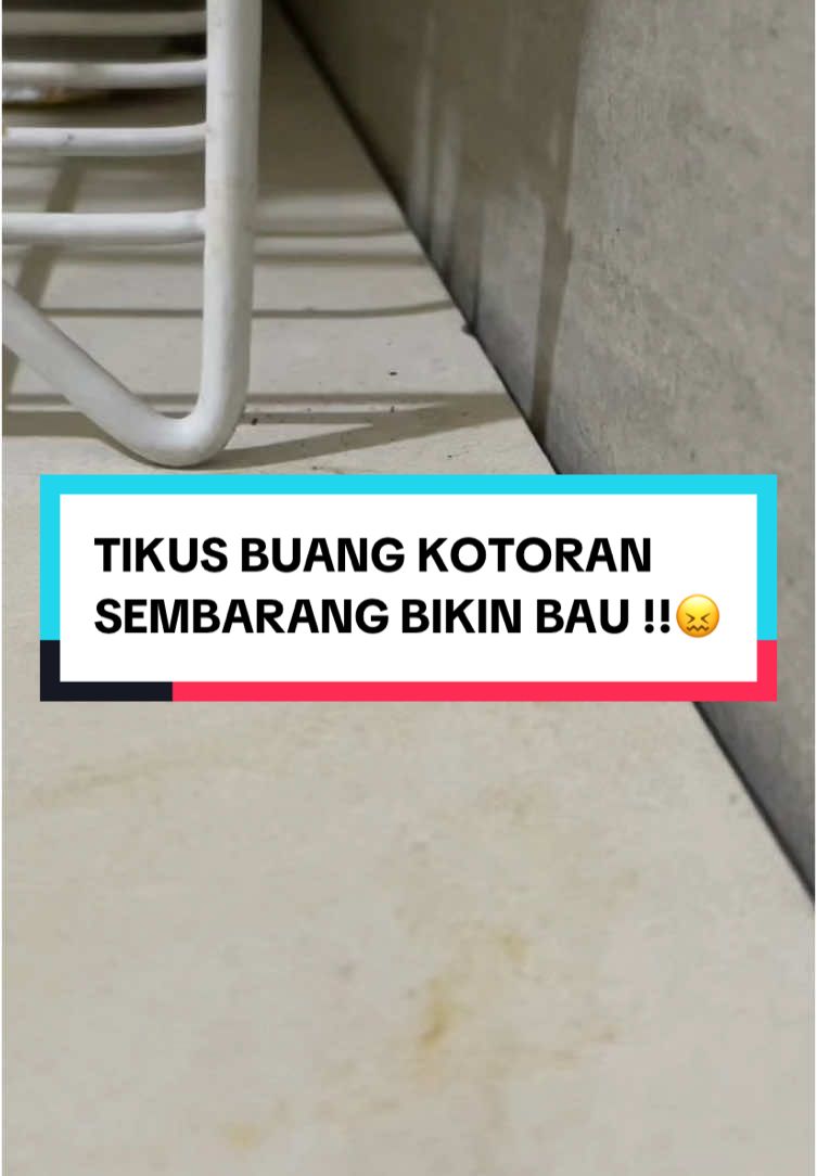 Bikin kesel aja punya masalah sama tikus gak ada habisnya 😖 mending pindah pakai RATKILLER yang sudha terbukti efektif 😍 #promoguncangtokopedia #promoguncang55 #racuntikusviral #pengusirtikus 