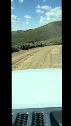 Afternoon drive 