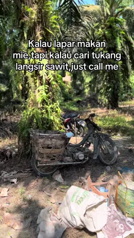 Langsung aja gasss💪🏻💪🏻#kulisawit #sawitontiktok #sawitriau #manensawit ##langsirsawit #panensawit 