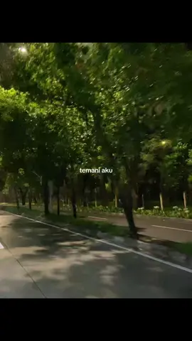 jangan pergi lagi, aku ga mau kamu pergi.