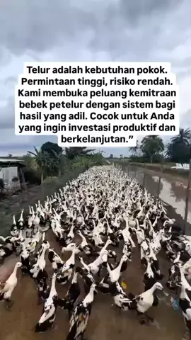 Bisnis cuan 2025 