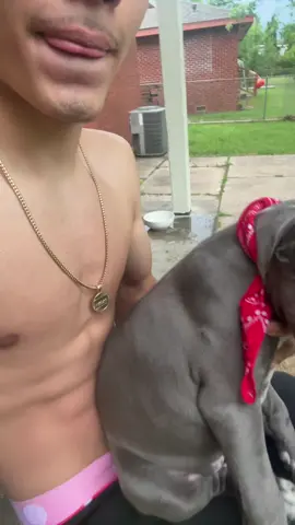 🦍🦍