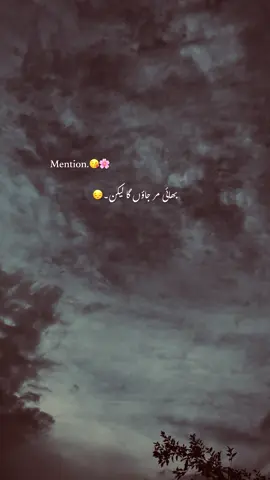 bhai🫠🦋#fyp #dontunderreviewmyvideo #foryou 
