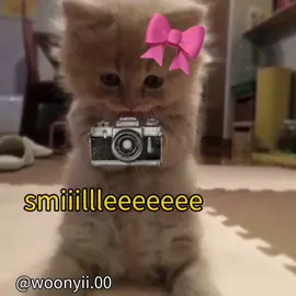 @Riel8.  awww such a broccoli .  .  .  #cat #voiceacting #meme #cute 