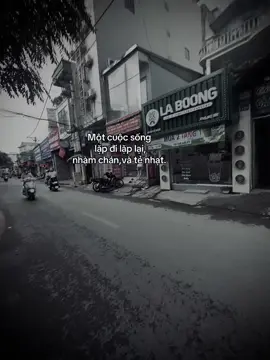 #ngtuanhai 