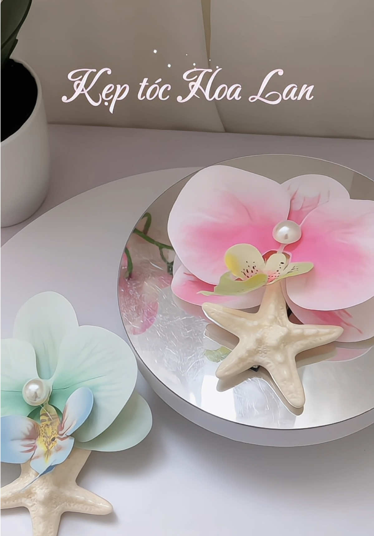 Hoa đẹp chỉ dành cho những người đẹp như cậu thôiii #hoalan #keptoc #phukiendibien #xh 