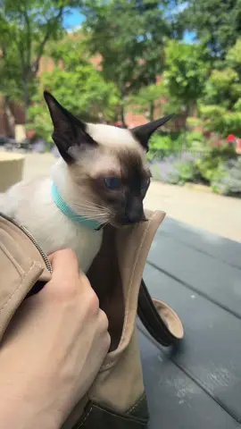 brought my baby to the park today i think he’s a litttttle bit nervous 