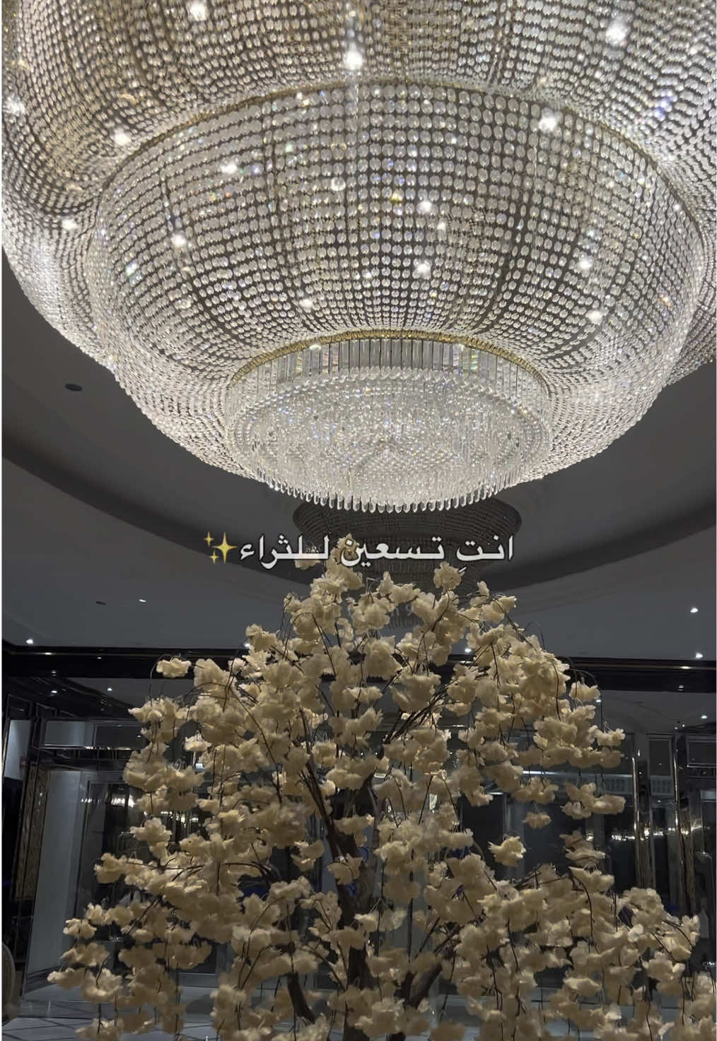 ثراء الفلوس مهم، ويمكن يكون أهم شي، بس الثراء الحقيقي إنك تعيشين حياة مليانة قيمة ومعنى، مو بس قيمة مادية✨ Financial wealth is important, and it may be the top priority However, true wealth lies in living a life filled with meaning and value not just material worth #fyp #foryou #foryoupage #tiktok #trending #photography #fypage #viral #fyppp #وعي #تحفيز #تطوير #اكسبلور #اكسبلورexplore #طاقة_إيجابية #الثراء #الوفره #نصائح_للبنات #4u #positivity 