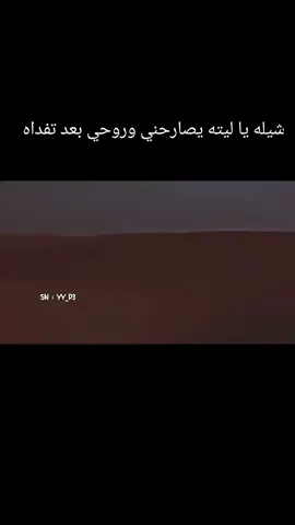 شيله يا ليته يصارحني وروحي بعد تفداه بطىء#اكسبلور #اكسبلورexplore #الشعب_الصيني_ماله_حل😂😂 