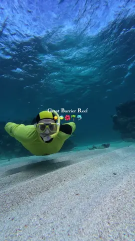 Some shots from the Great Barrier Reef on my dji action 4 #CapCut  #greatbarrierreef #snorkeling #adventure #travel #contiki 