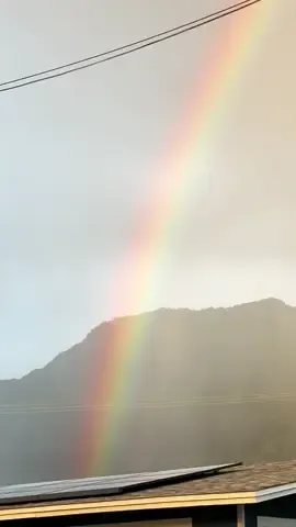 when a normal walk becomes just a little special ! 🌈⭐️ #walk #romanticizeyourlife #dogmom #rainbow 