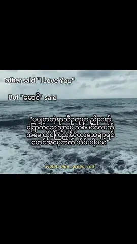 လူတစ်ယောက်ကပြောဖူးတယ် ကျန်တော်မချစ်ရင်သေသွားမဲ့ သစ်ပင်က ဇ ပဲတဲ့.... #မောင့်ဗီဇ  #မောင် #ဗီဇ #ဇ #wattpatmyanmarfic  #wattpad#fiction  #fyppppppppppppppppppppppp  #fypp #fypage #fyp #fypシ゚ 