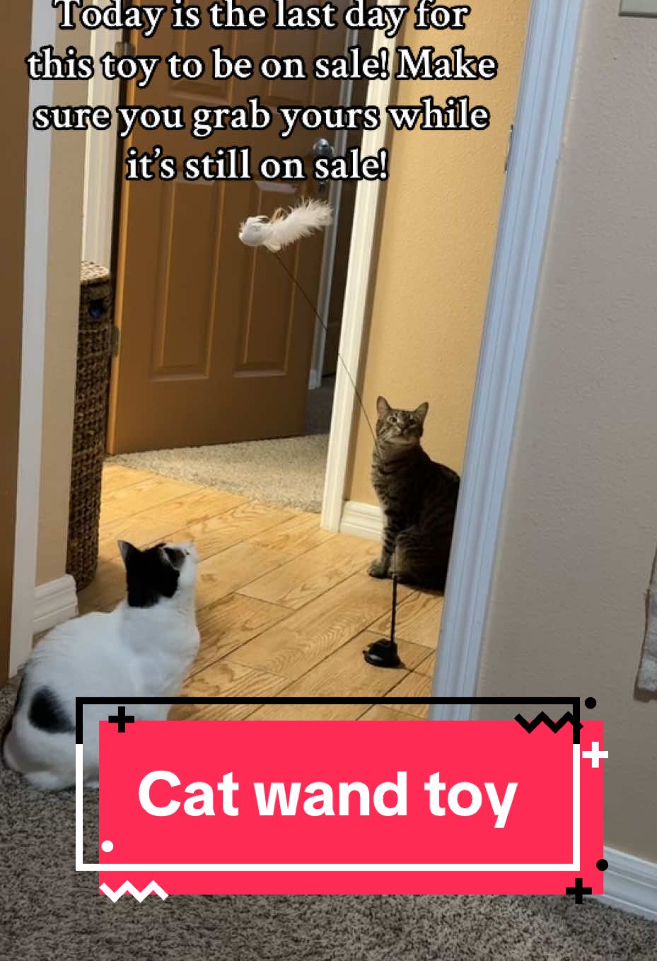 #foryou #foryoupage #fyp #trend #trending #cat #cats #catsoftiktok #cattoy #cattoys #TikTokShop #tiktokshopping #tiktokshopcreatorpicks #tiktokshopfinds #sale #sales #tiktokshopsale #tiktokshopsales 