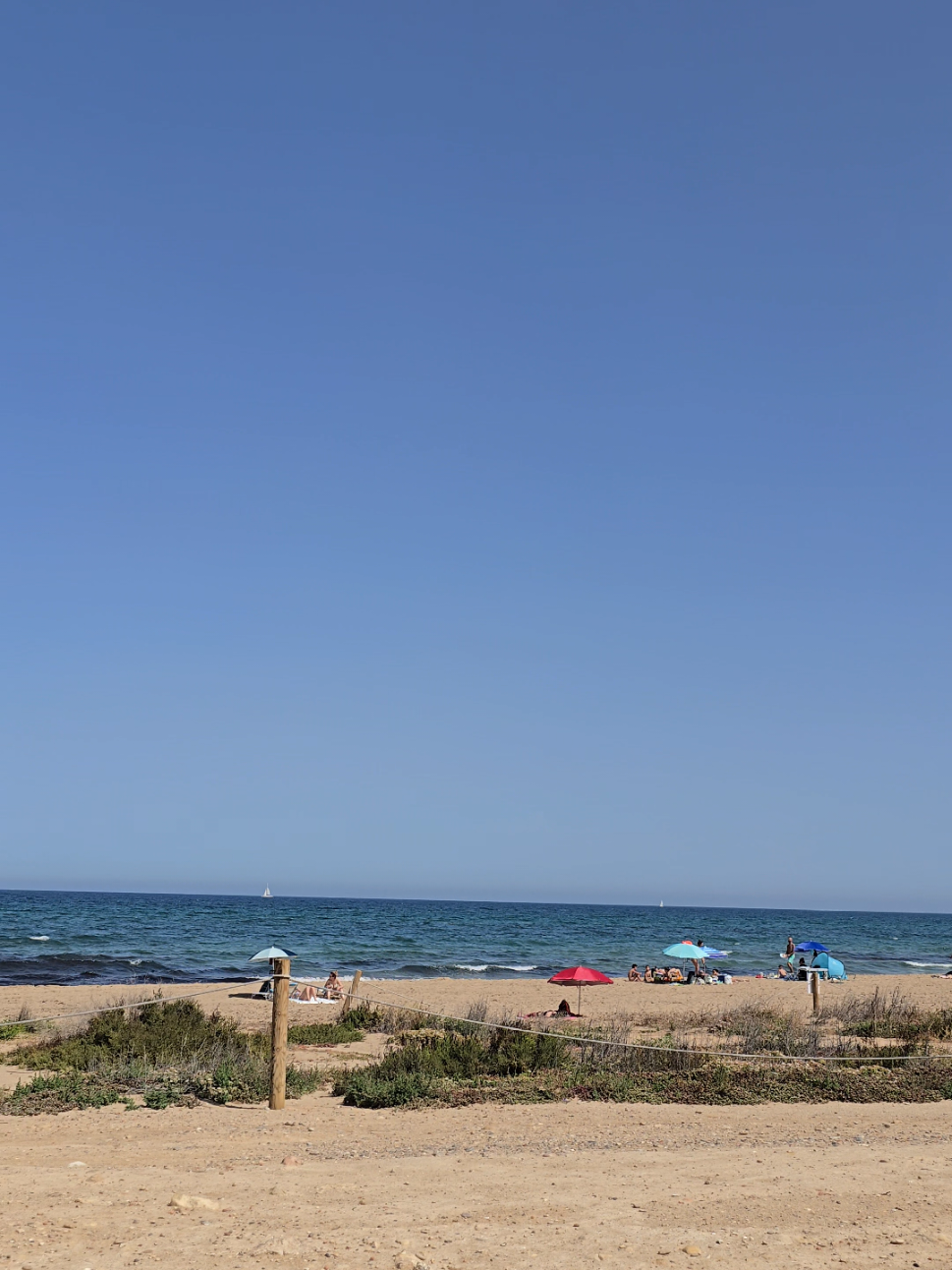 ✨🏖️🌞✨😎#CapCut #Summer#verano #alicante #alicantespain #latinoseneuropa #latinosenespaña #latinosenespaña🇪🇸 #latinosenelmundo 