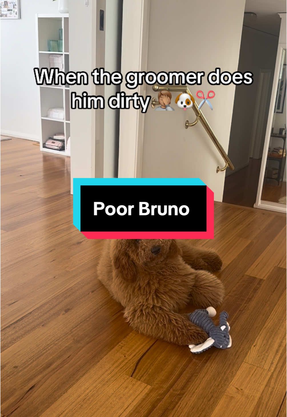 Justice for Bruno 🤦🏽🐶 #goldendoodle #goldendoodlesoftiktok #puppy #groomer 
