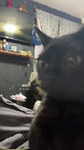 Un video a la vieja escuela d frijol #fyp #dúo #viral_video #viralditiktok #goviral #cat #foru #duo #grow #greenscreen #makeup #tiktokviral #fypp #edit #explore #anime #illu #loveyou #VoiceEffects #video 