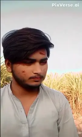 #punchinface punchinface#videoviral #Trending #Trendingvideo 