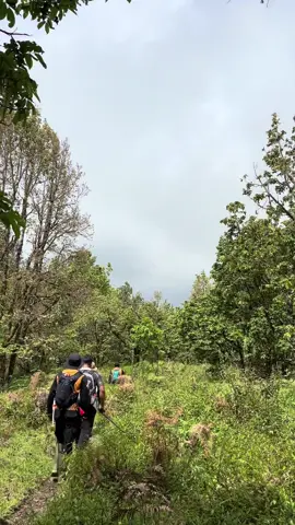 Kenapa Harus Mendaki Gunung? #pendakigunung #pendakiindonesia #pendakilombok #lombok #fyp #4you 