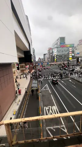Aabo fark rw jam gaau trw far kam vaneyau vaney feri teroxoraley hijo yaha #Tokyo #Japan 🇯🇵🥹