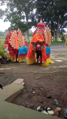 jaranan bocil... #jaranan banyuwangi