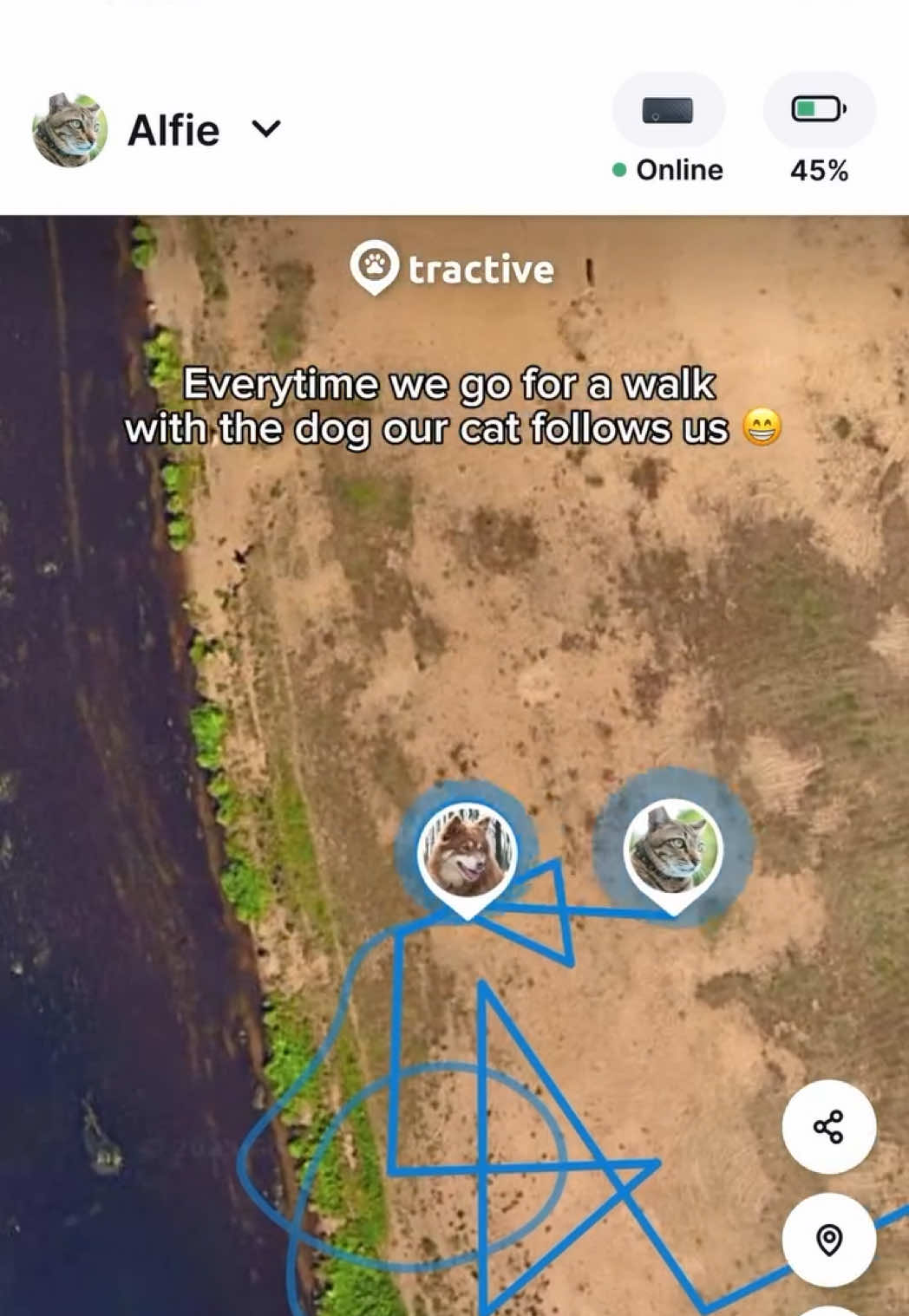 Cat vs dog walk be like 😁↘️↗️⤵️⬆️➡️⤴️⬅️↙️⬇️➡️🔄↗️🔀⬅️⬆️↘️↗️ #tractive #tractivegps #gpstracker #gpsforcats #catwalk #catlovers #outdoorcat #outdoorcats #catlife #catmom #catto #catproducts #ilovemycat #catvsdog