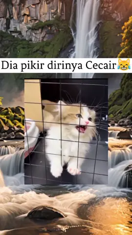 Apalah😹 #kucinglucu 