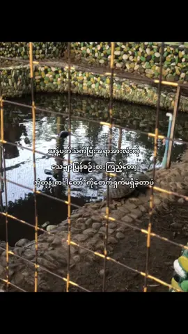 ရွံမိတယ်🥹🤌#fypage #fyp #foryou #views #fyppppppppppppppppppppppp #fypviralシ #fypシ゚ #virał 