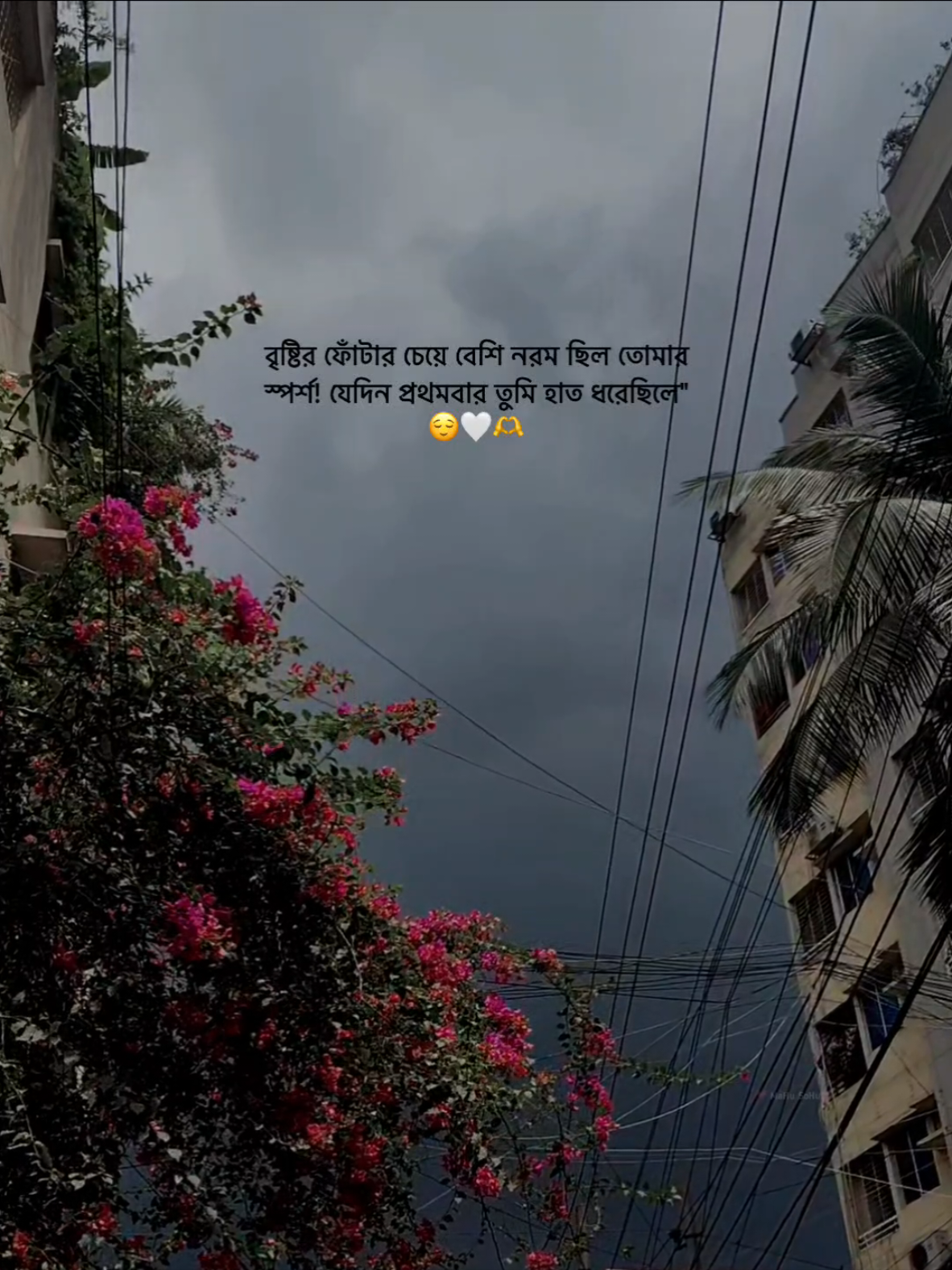 বৃষ্টির ফোঁটার চেয়ে বেশি নরম ছিল তোমার স্পর্শ! যেদিন প্রথমবার তুমি হাত ধরেছিলে